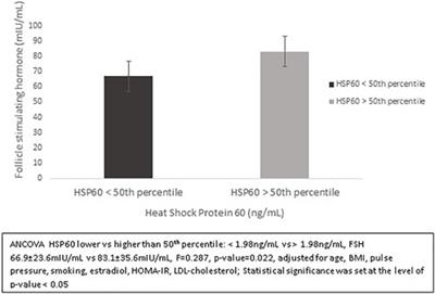 Endothelial Function in Postmenopausal Women: The Possible Role of Heat Shock Protein 60 and Serum Androgens